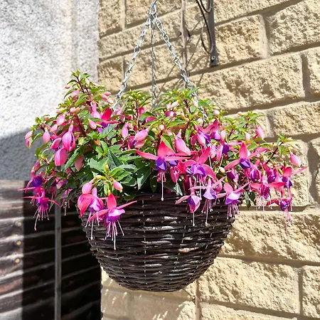 Cotswold Dream Getaways Bed & Breakfast Cirencester Exterior photo